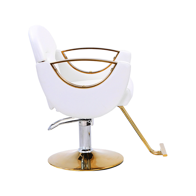 HZ8765BZ / HZ8765WZ / HZ8765PZ / HZ8765Z Ghế salon tạo kiểu nhẹ