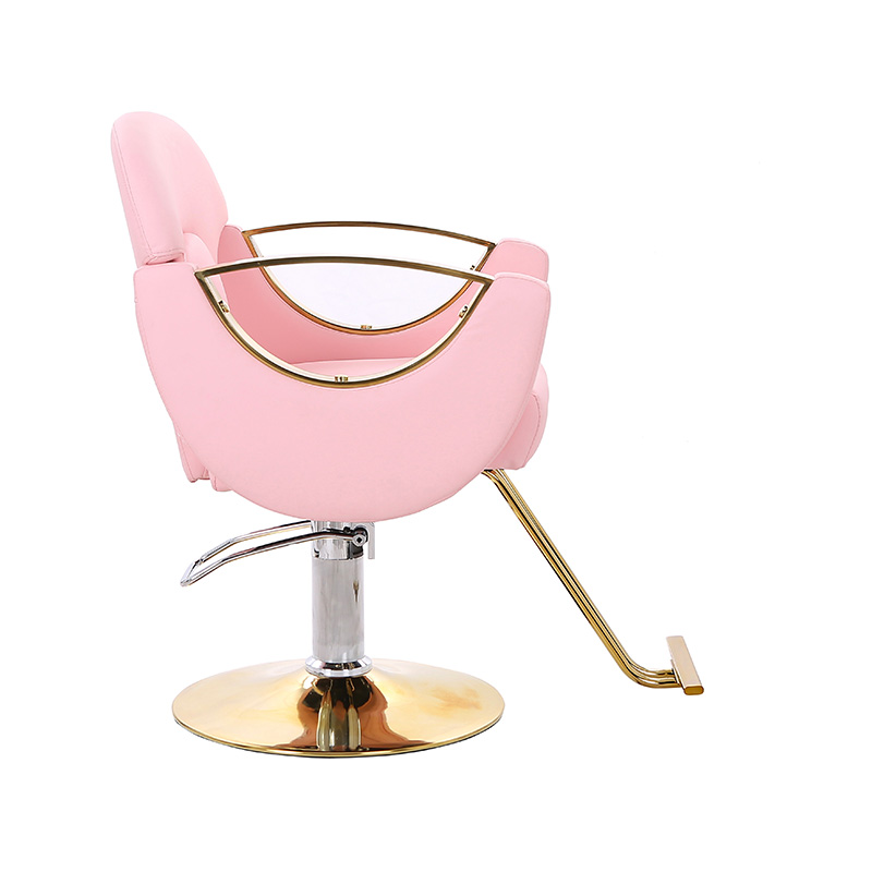 HZ8765BZ / HZ8765WZ / HZ8765PZ / HZ8765Z Ghế salon tạo kiểu nhẹ