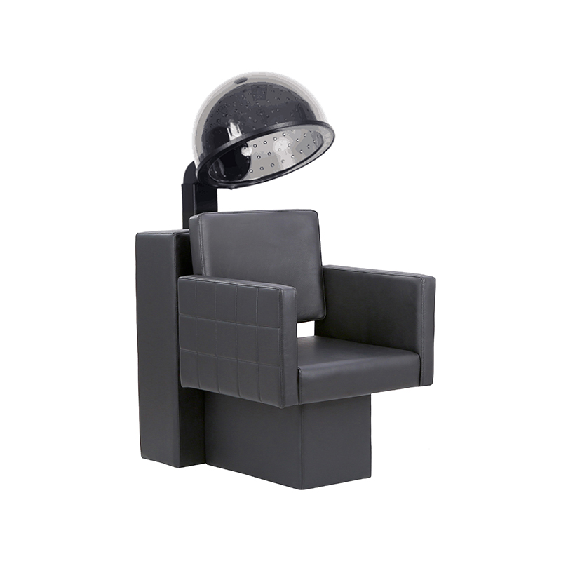 Combo máy sấy và ghế salon HZ9045